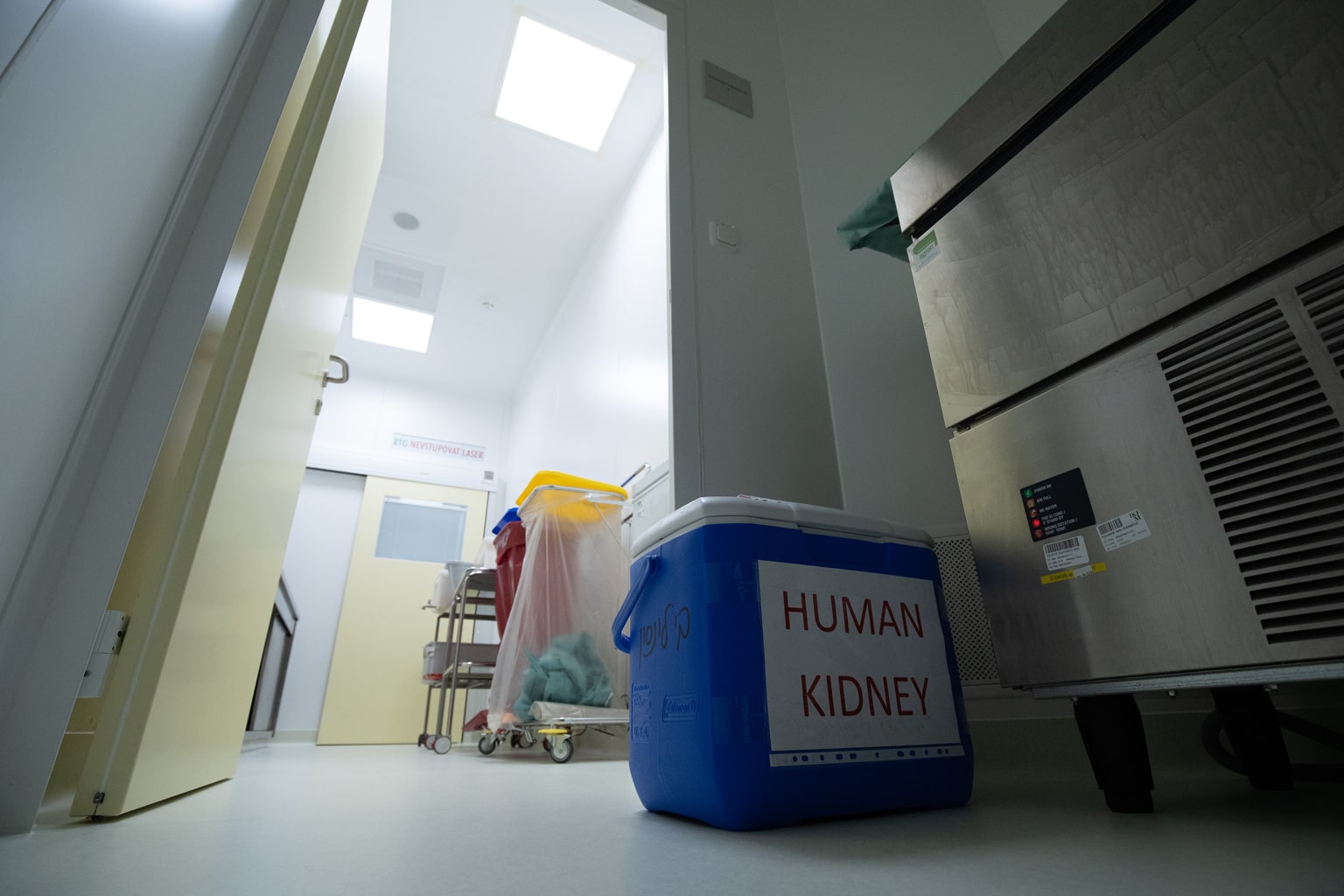 IKEM_Tx_ (14)-min.jpg