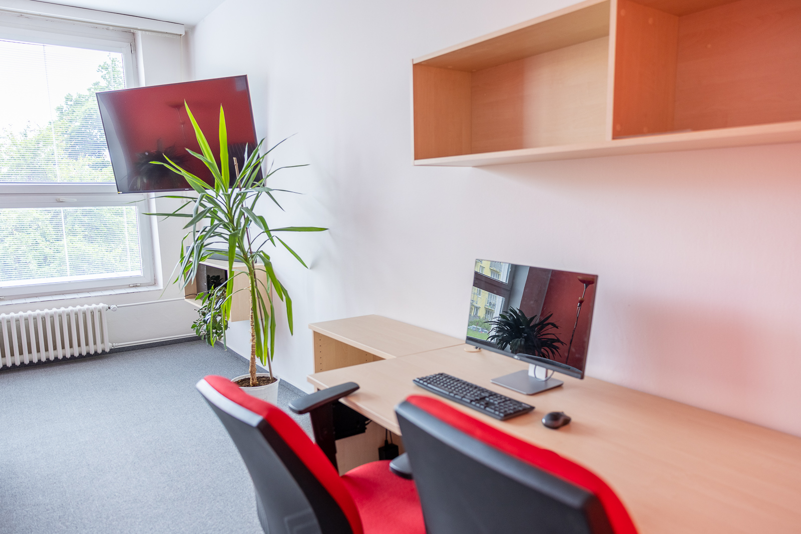 Společenská místnost